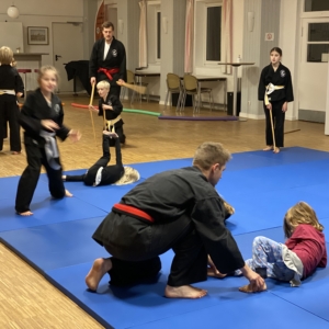 Kampfkunstunterricht